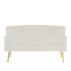 55.5 Velvet 2-Seater Sofa with 2 Pillows, Contemporary Design, and Easy Assembly